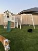 Customer review photo 4