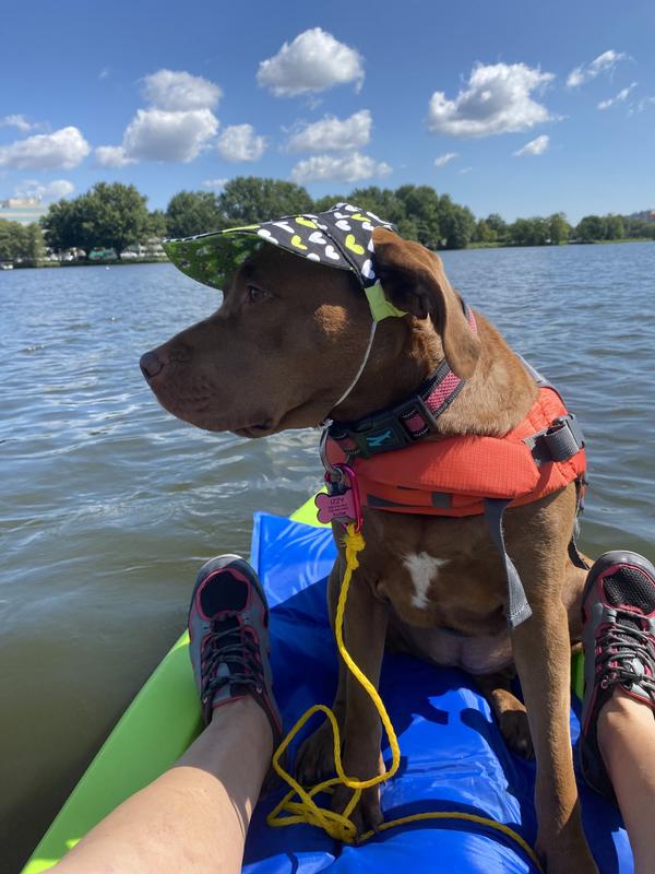 Izzy living her best life