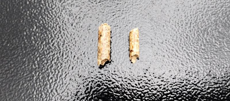 Bear Mountain bigger in size