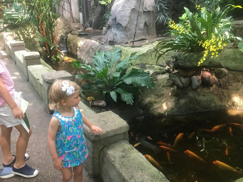 Review Thumbnail Image 1 242171062