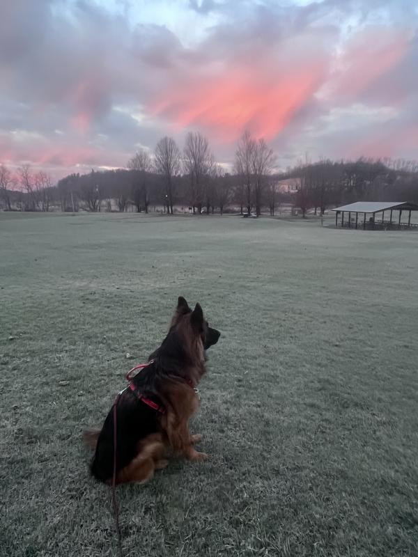 Review Thumbnail Image 0 243102182