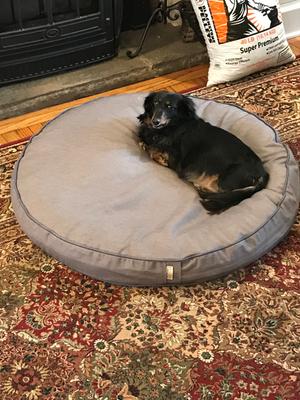 ll bean orthopedic dog bed