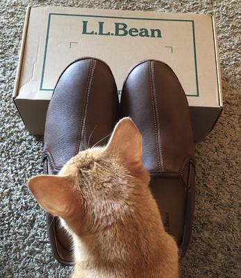 elkhide slippers