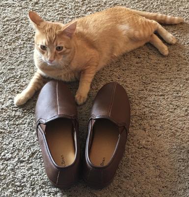 elkhide slippers