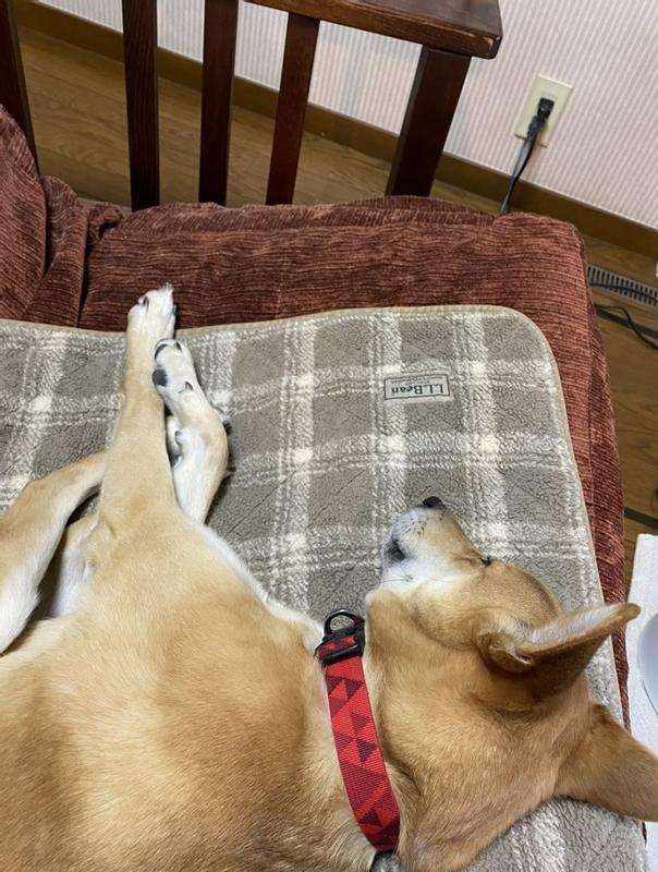 ラギッド・キルト・ドッグ・ブランケット 通販｜L.L.Bean公式