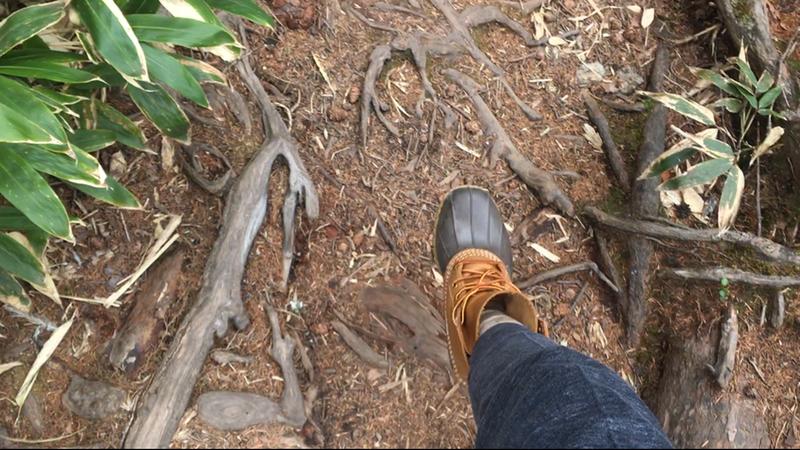 メンズ エル・エル・ビーン・ブーツ、8インチ 通販｜L.L.Bean