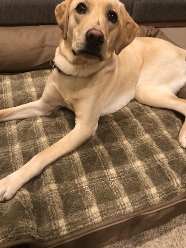 ラギッド キルト ドッグ ブランケット 通販 L L Bean公式オンラインストア