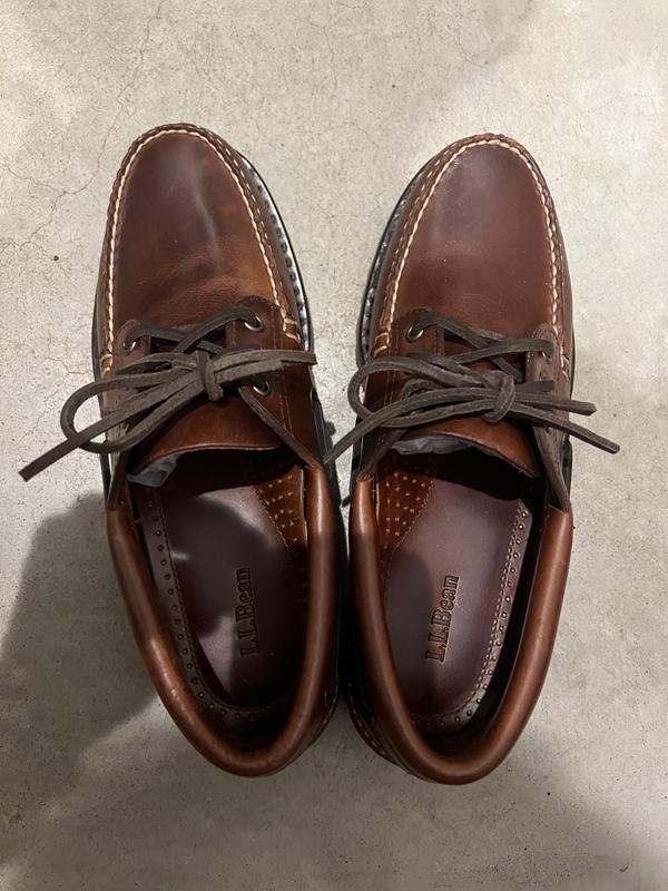 美品 LL Bean アラガッシュ バイソン オックスフォード サイズ10 美品 LL Bean アラガッシュ バイソン オックスフォード サイズ10