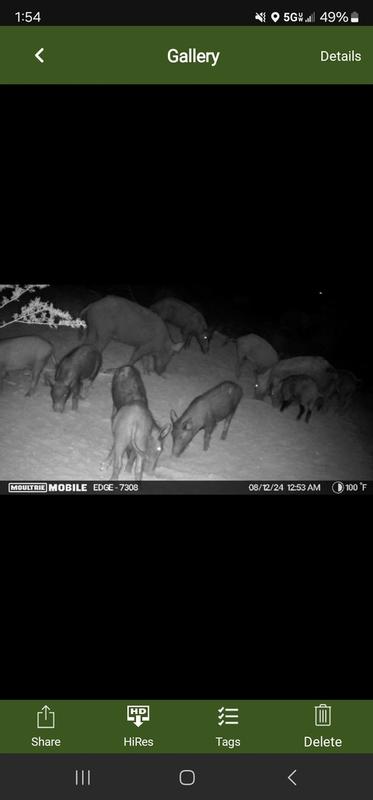 Photo submitted with review of product