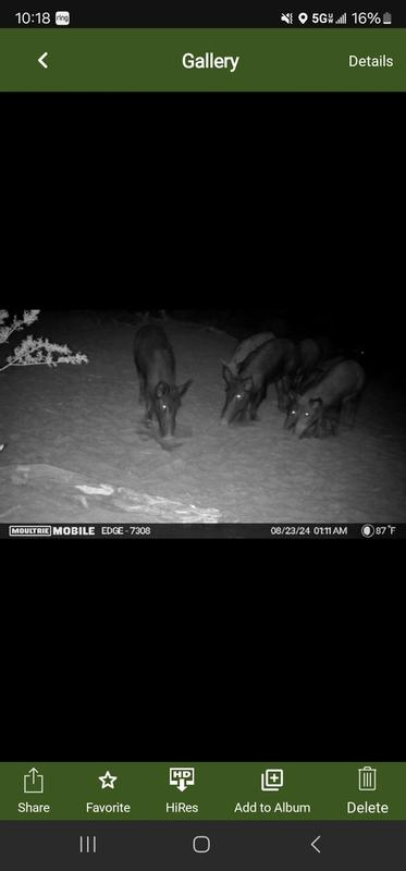 Photo submitted with review of product