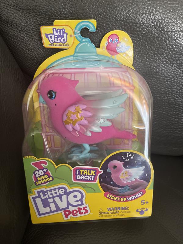 Little live pets outlet budgie