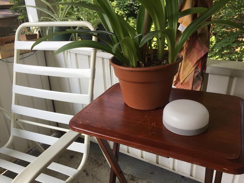 Photo submitted with review of product