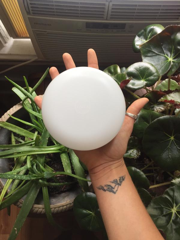 Photo submitted with review of product