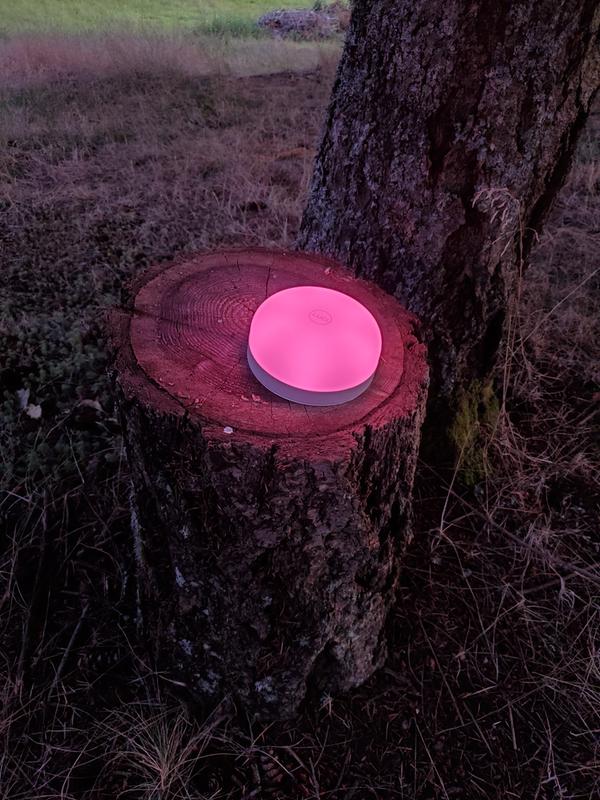 Photo submitted with review of product