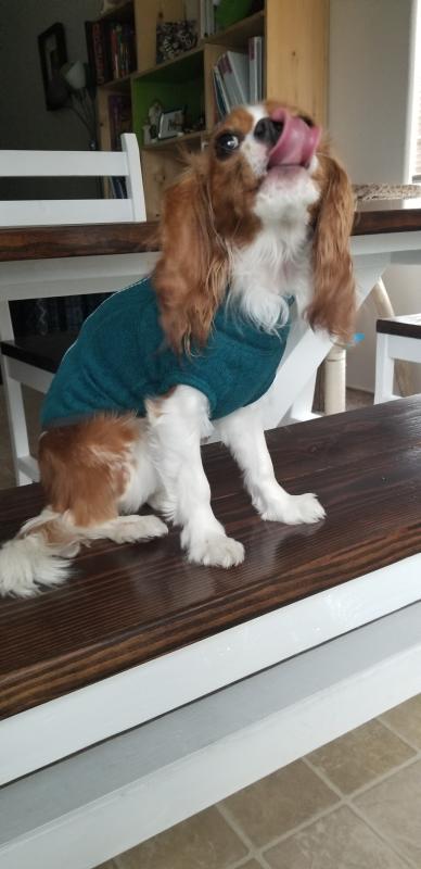 Photo submitted with review of product