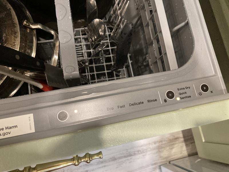 DD24SI9N by Fisher & Paykel - Integrated Single DishDrawer™ Dishwasher,  Sanitize