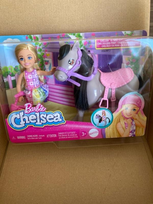 Barbie chelsea pony set deals