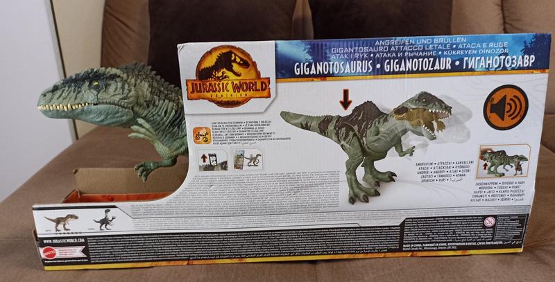 Jurassic World Dinossauro - Giganotosaurus - GYC94 - Mattel - Real  Brinquedos