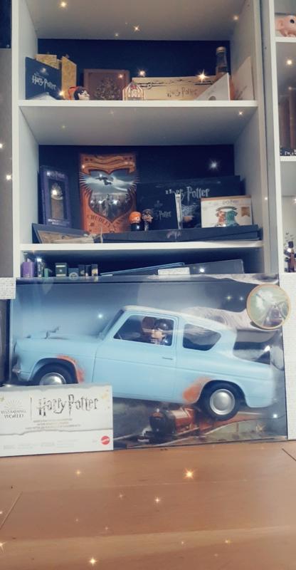 Harry Potter - Coffret Voiture Volante et 2 Figurines