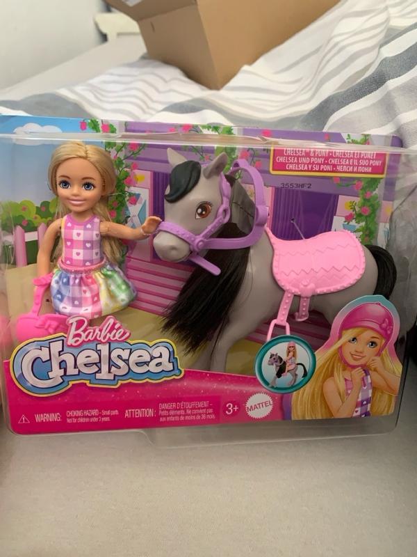 Barbie Chelsea Pony Doll Pony Mattel