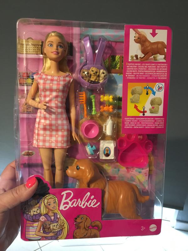 Barbie Barbie® Bambola e Cuccioli con Accessori – Vestito Rosa