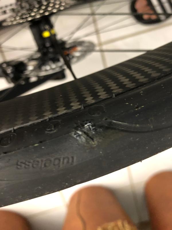 Profilis Argumentas Uzsienyje Cosmic Pro Carbon Sl Ust Disc 19 Bartendersmanifesto Com