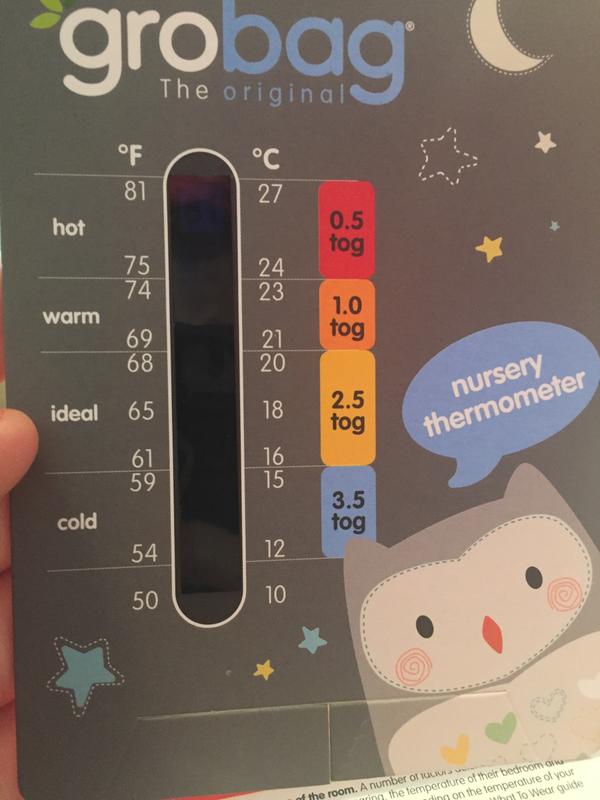 grobag bennie the bear