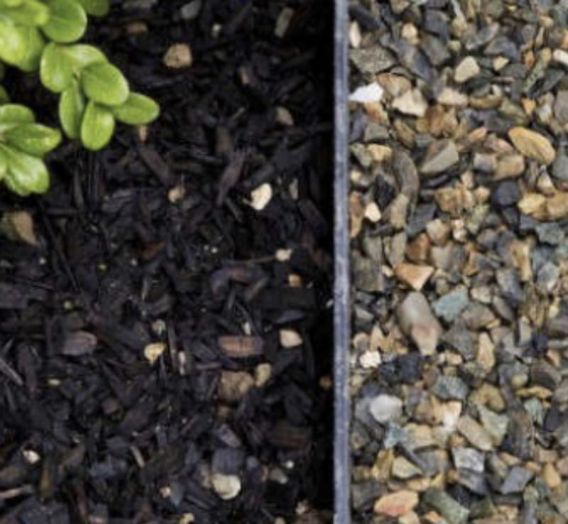 Shrubs with black gravel