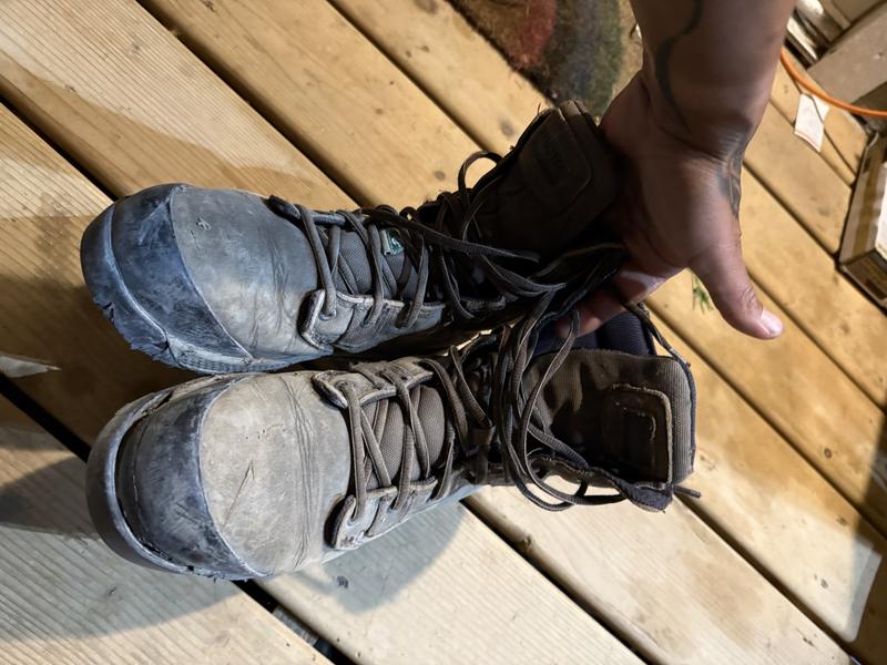 My 4 month old boots