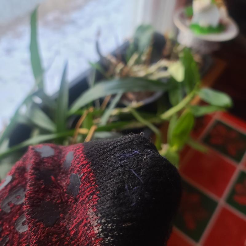 Had to sew the toe after 2 weeks!