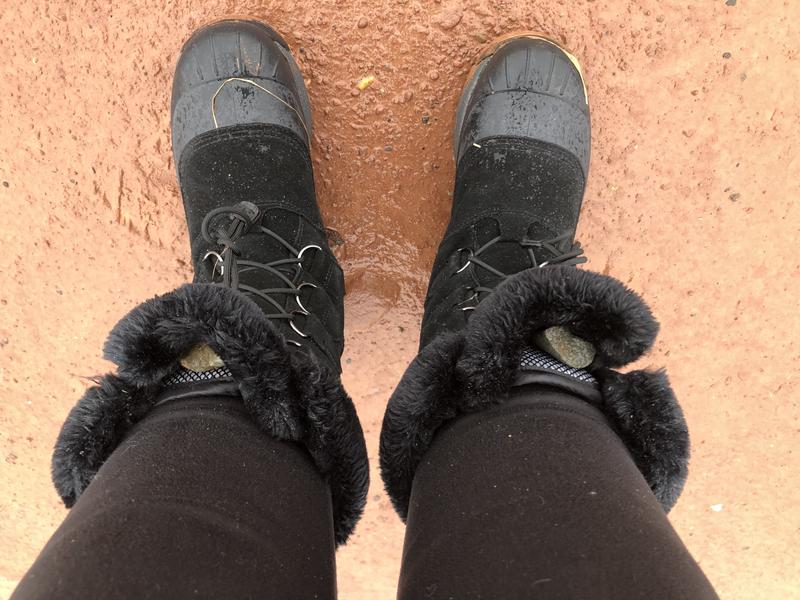 Little yellow quartz rocks collected it was rainy so good place for them