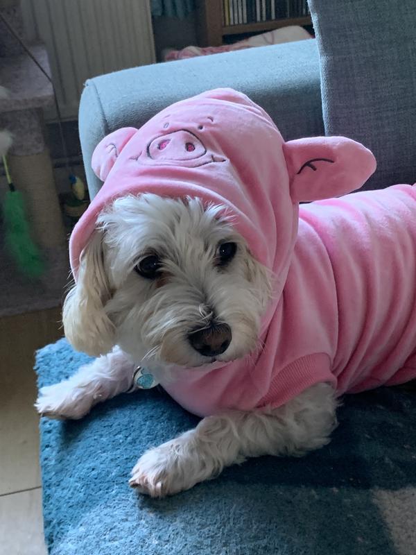 Svetr Pro Psa S Motivem Percy Pig