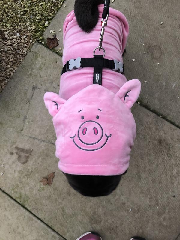 Svetr Pro Psa S Motivem Percy Pig