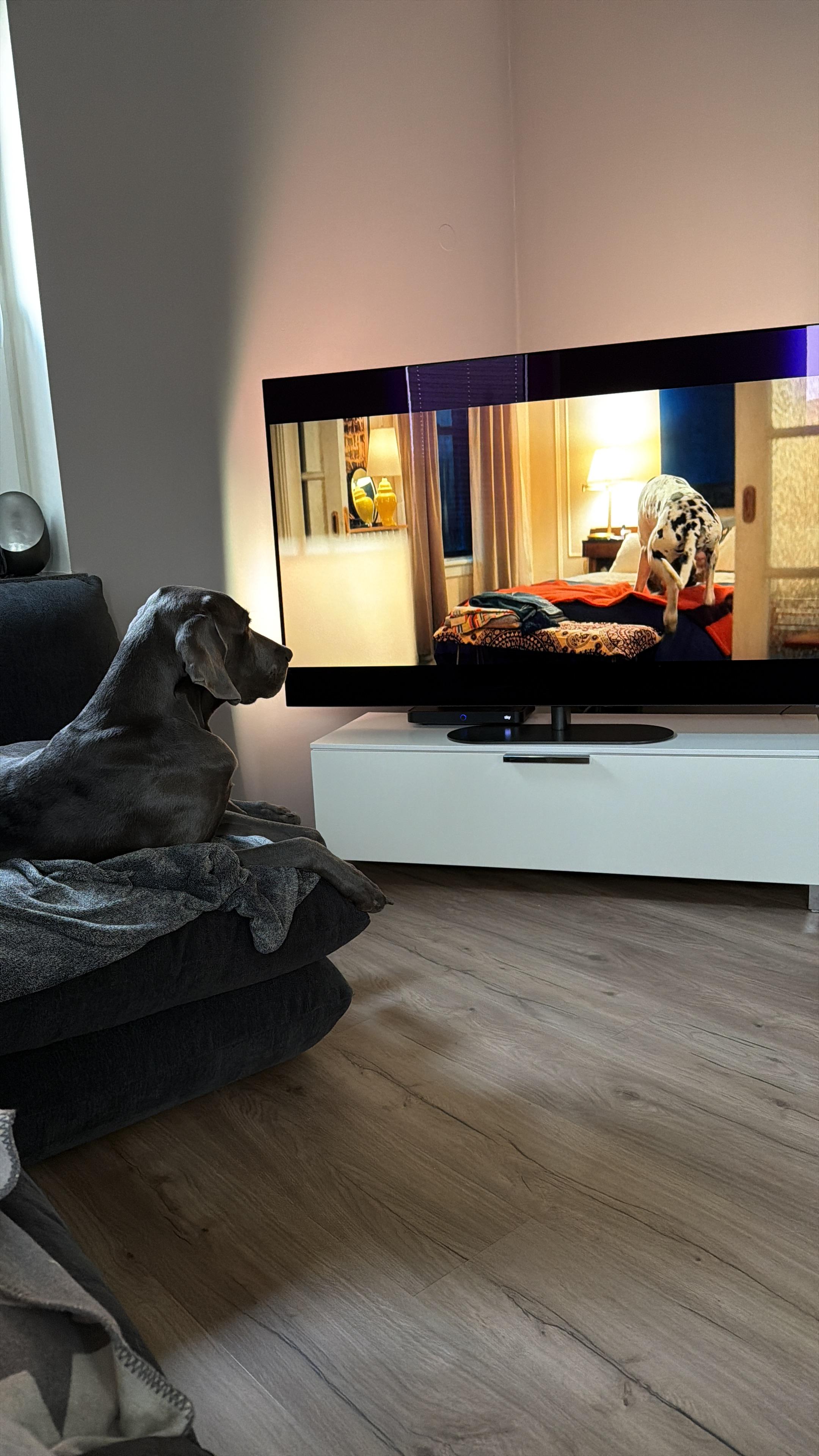 Kundebillede af Philips 65 tommer PUS8500 TV