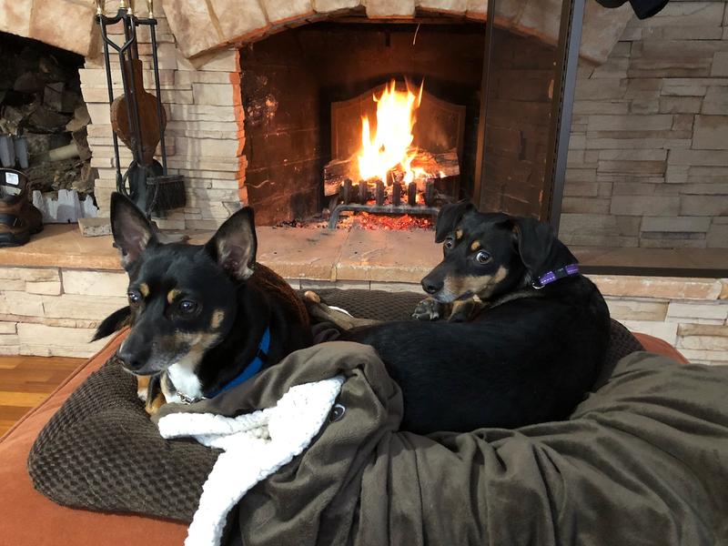 Keeping cozy in the winter