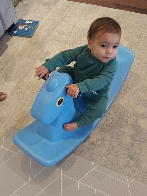 Little tikes cheap blue horse rocker