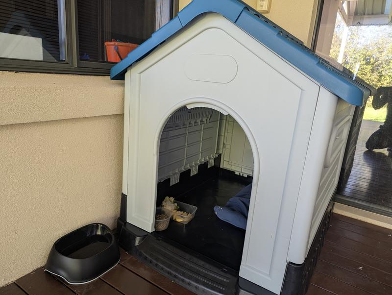 Greenleaf Pet Dog Home Kennel Large by Greenleaf at Mitre 10