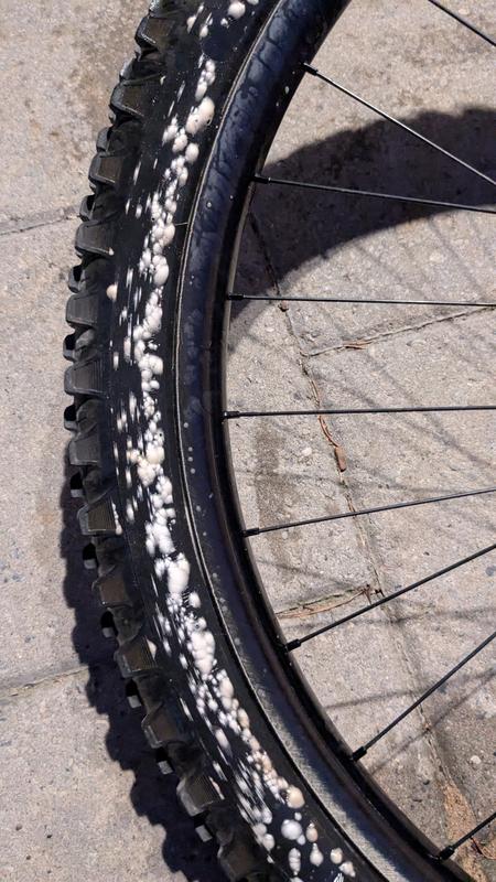 That is not mould on the tires, it is soapy water to show the leaks