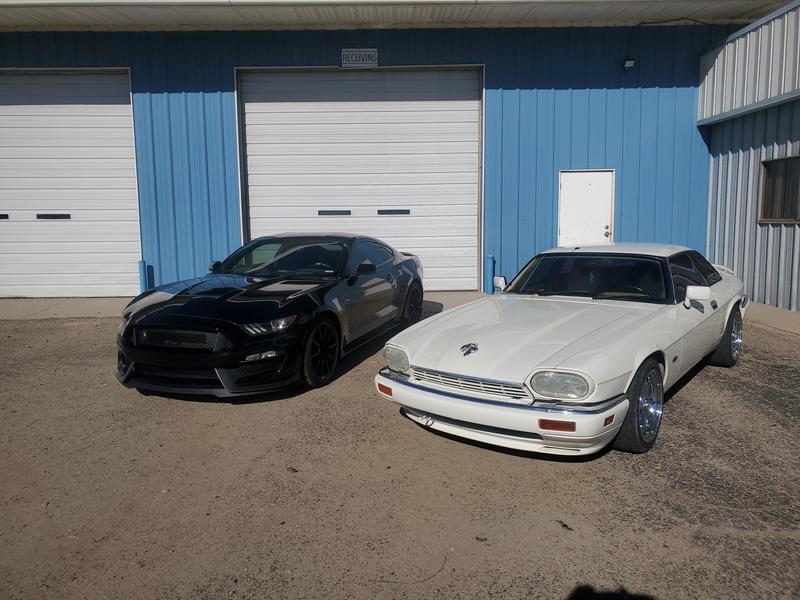 My 94 V12 Jag and the Shelby GT350