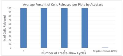 Accutase freeze thaw stability image