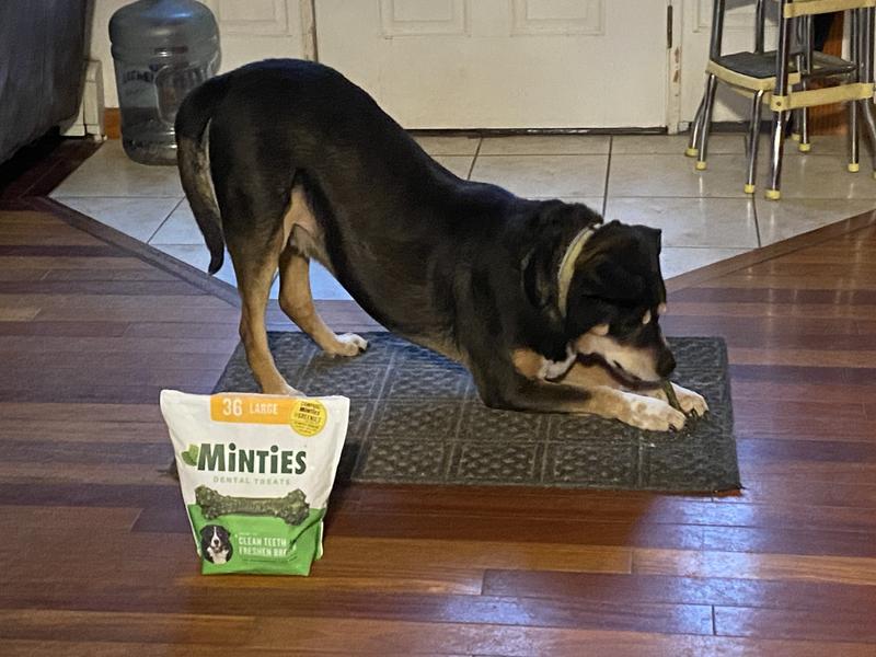 Only thing Orion gets excited about in his senior years ❣️