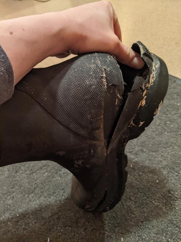 Photo submitted with review of product