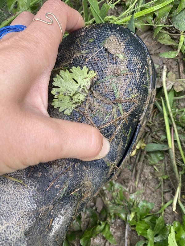 Photo submitted with review of product