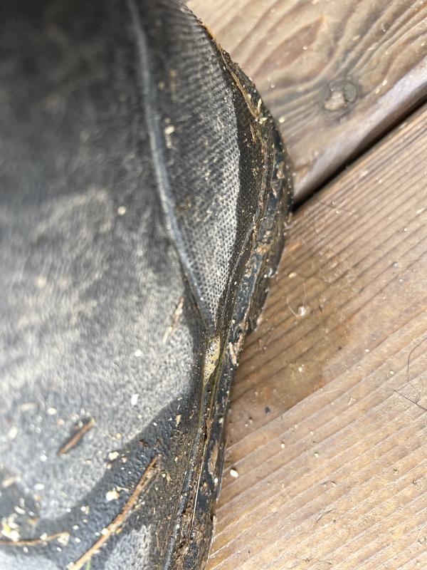 Photo submitted with review of product