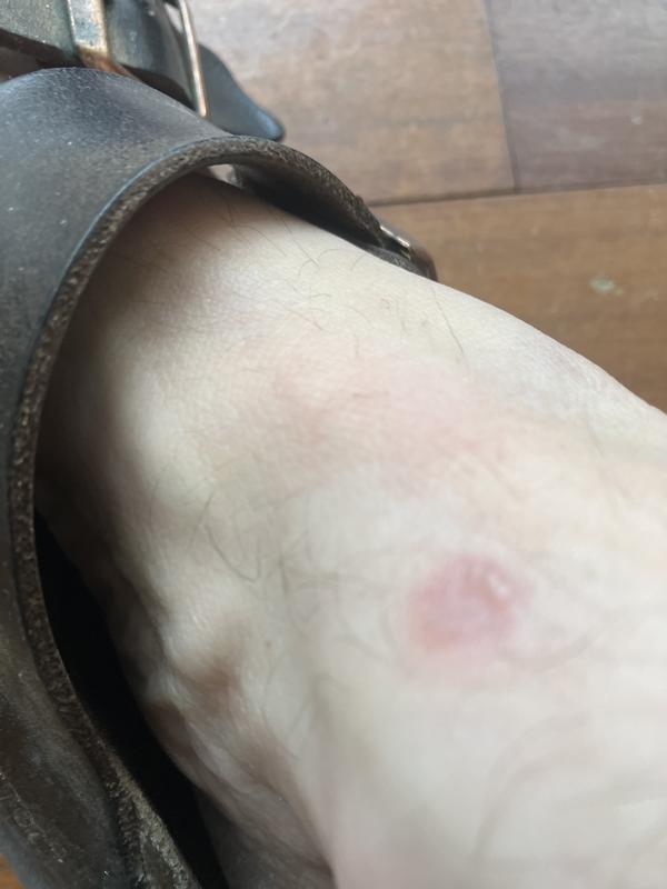 Photo submitted with review of product