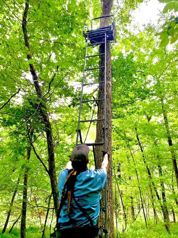 Going up. Muddy harness