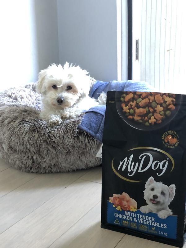 My dog 2024 dry food review