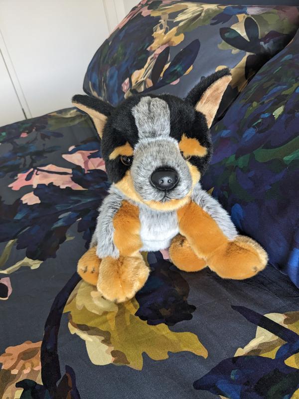 Marshall Soft Toy Blue Heeler Plush Toy Bocchetta Plush Toys