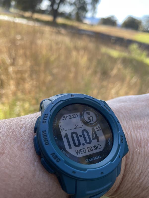 Garmin instinct watch online lakeside blue