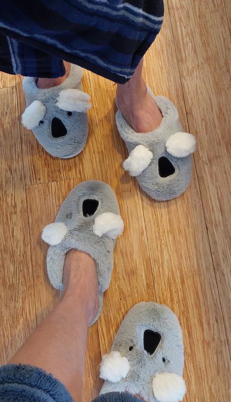 Hollister koala slippers sale